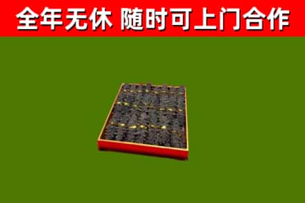 依兰回收海参